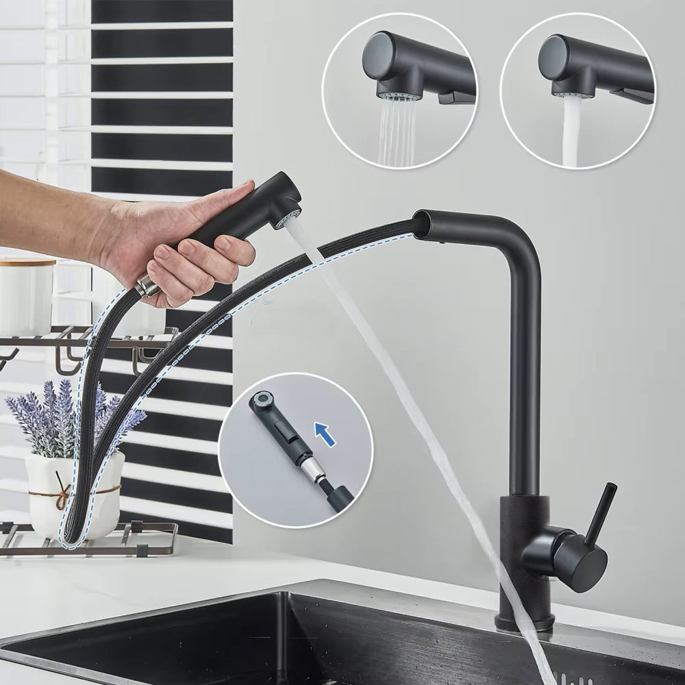 LMA 2 Mode Pullout Kitchen Mixer with 360 Degree Swivel Spout