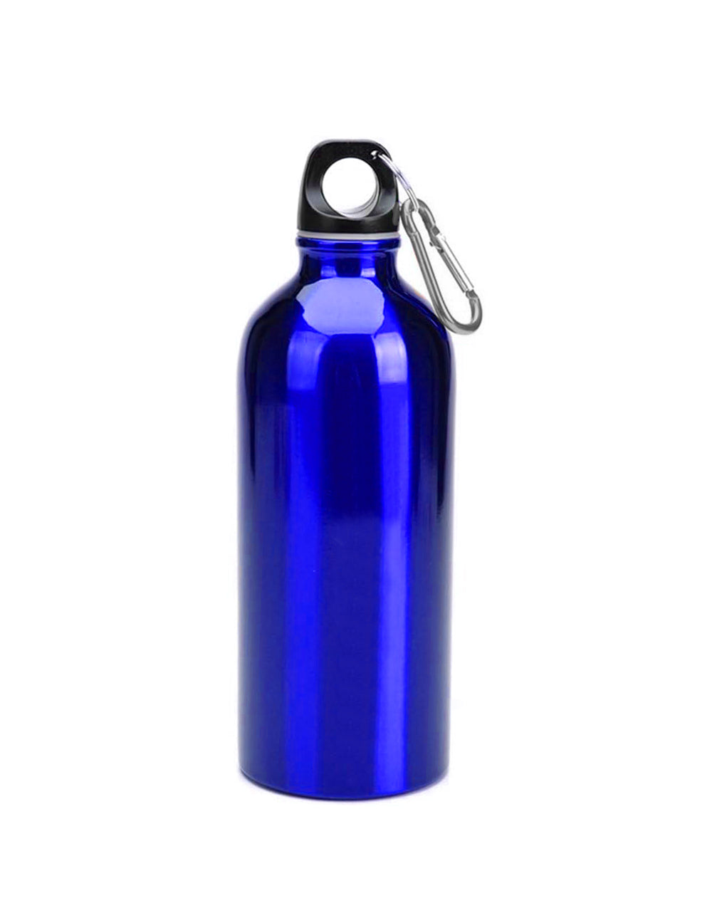 600ml Single Wall Stainless Steel Water Bottle with Carabiner Clip FX-8848
