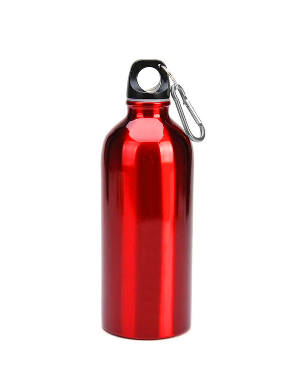 600ml Single Wall Stainless Steel Water Bottle with Carabiner Clip FX-8848