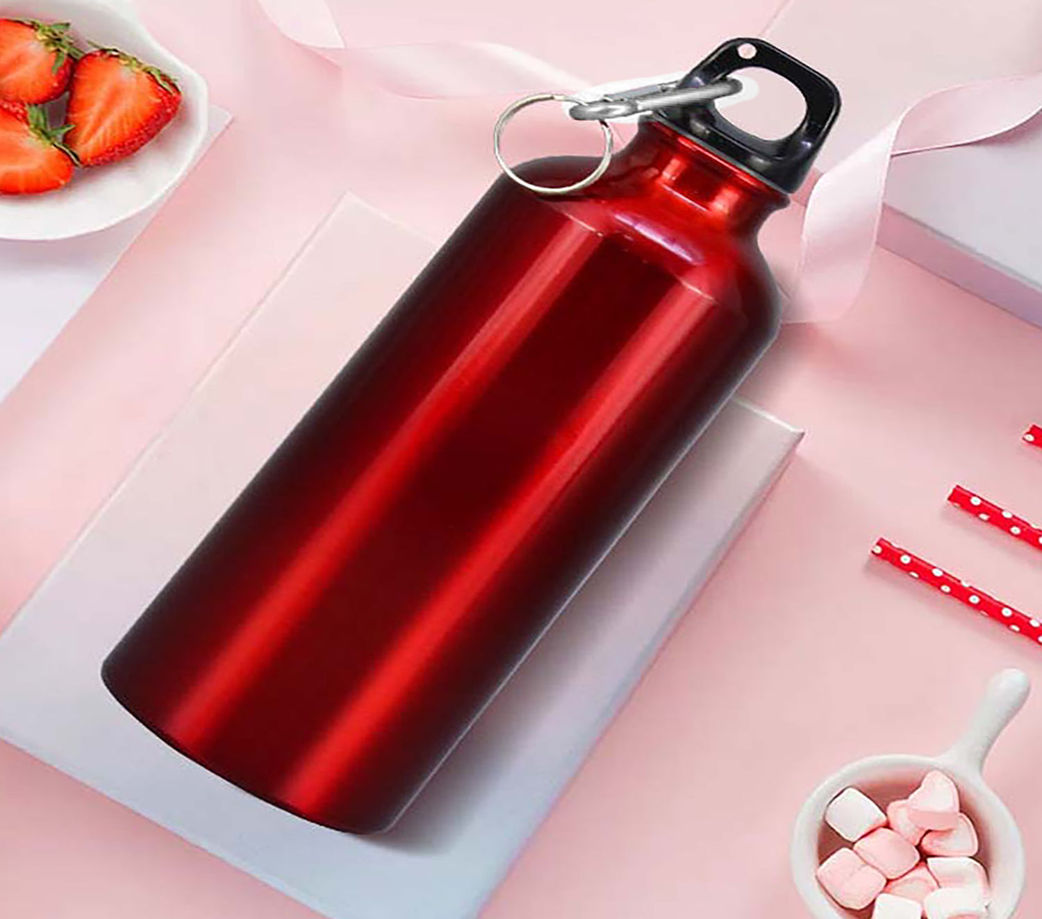 600ml Single Wall Stainless Steel Water Bottle with Carabiner Clip FX-8848