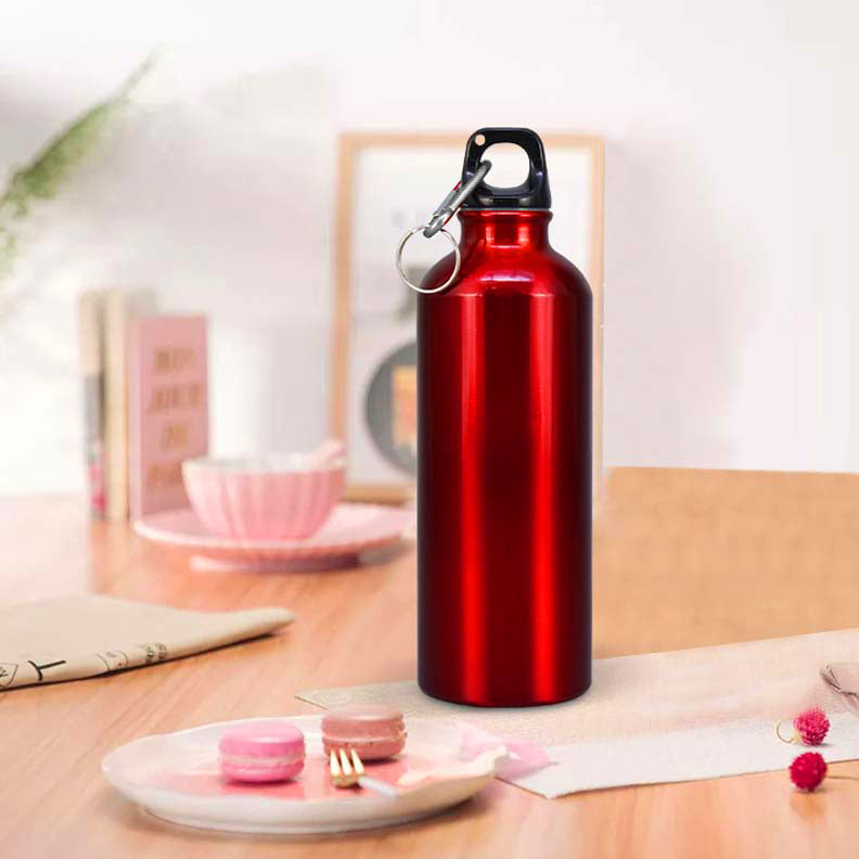 600ml Single Wall Stainless Steel Water Bottle with Carabiner Clip FX-8848