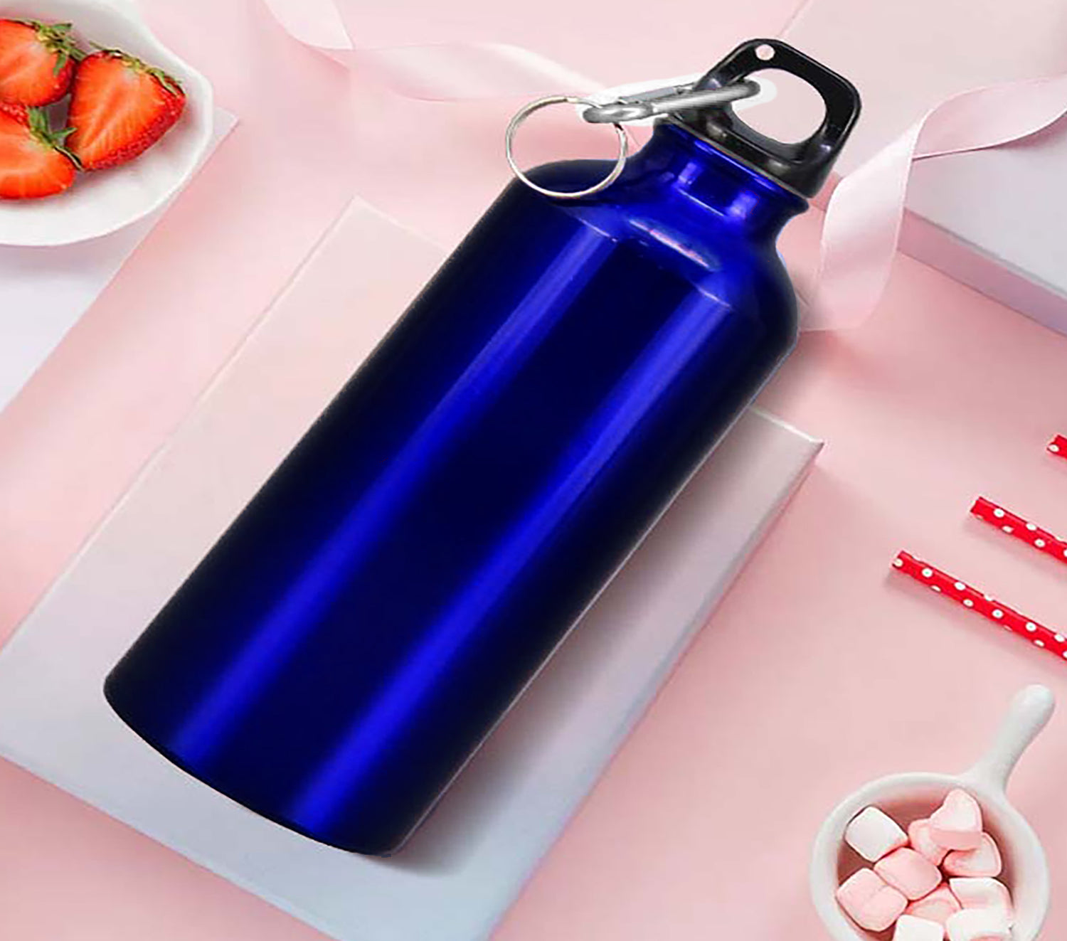 600ml Single Wall Stainless Steel Water Bottle with Carabiner Clip FX-8848