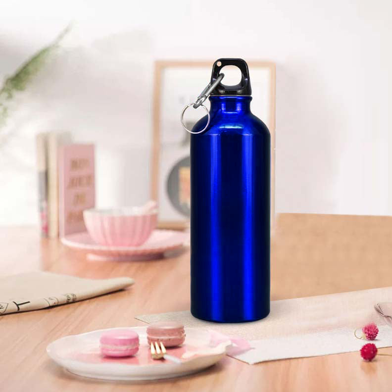 600ml Single Wall Stainless Steel Water Bottle with Carabiner Clip FX-8848